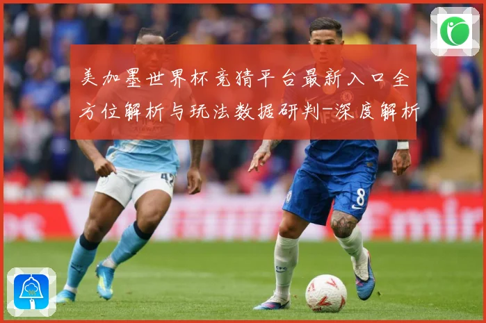 美加墨世界杯竞猜平台最新入口全方位解析与玩法数据研判-深度解析