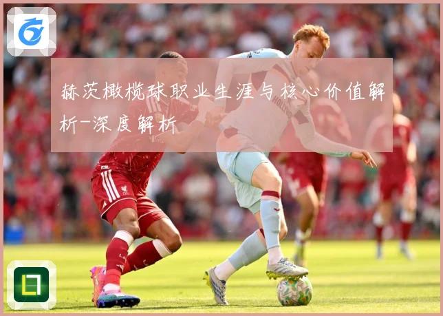 赫茨橄榄球职业生涯与核心价值解析-深度解析