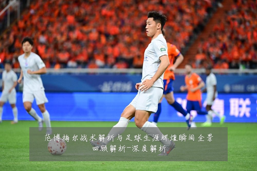 范博梅尔战术解析与足球生涯辉煌瞬间全景回顾解析-深度解析